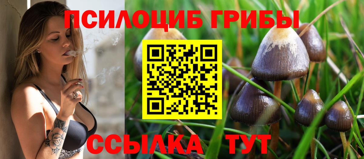Котлас  Галлюциногенные грибы GOLDEN TEACHER  Псилоцибиновые грибы GOLDEN TEACHER  Вход с VPN 
